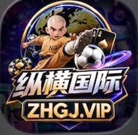 纵横国际