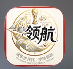 领航国际